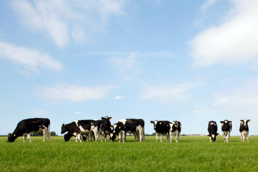 How is dairy in the US going greener?