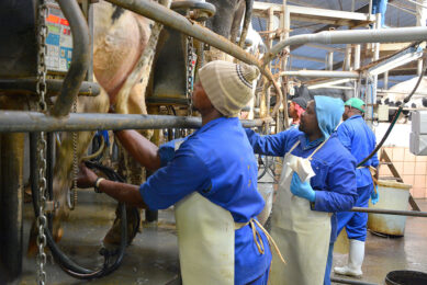 Thousands of African farm workers are travelling to Israel on temporary contracts to ease the labour shortage there. Photo: Chris McCullough