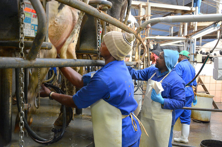 Thousands of African farm workers are travelling to Israel on temporary contracts to ease the labour shortage there. Photo: Chris McCullough