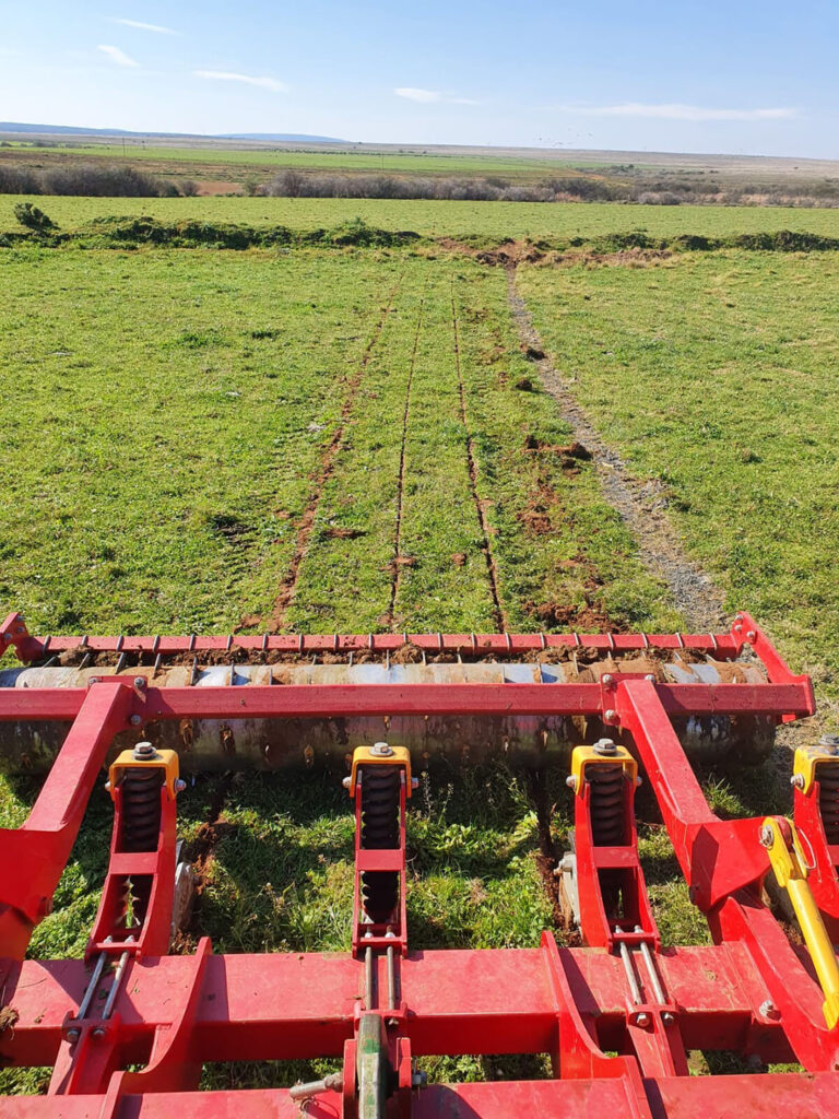 A minimum cultivation implement is used to make a 300 mm cut into the soil to provide aeration.