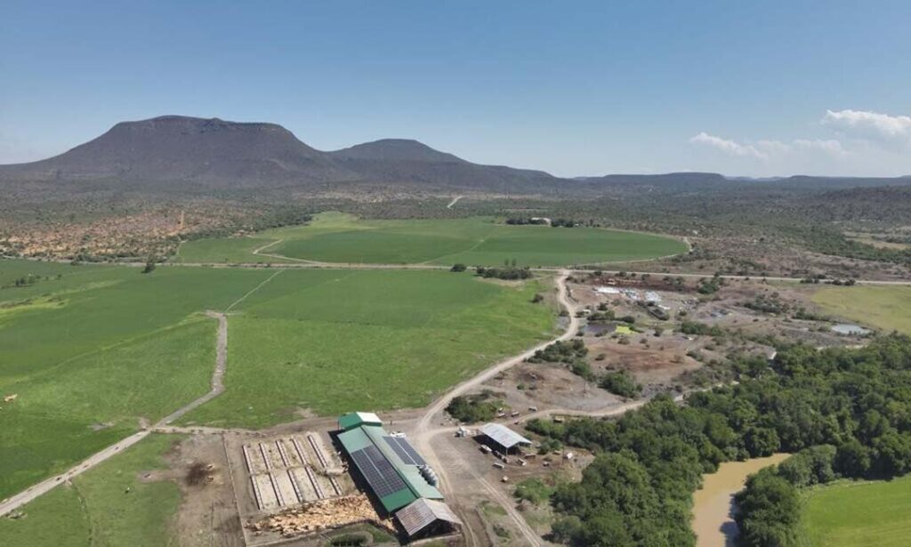 Land surrounding the Foundation Farm has been overgrazed due to poor management. Barry Schiever has kept his soil healthy and productive by increasing organic carbon. Photo: Lindi Botha