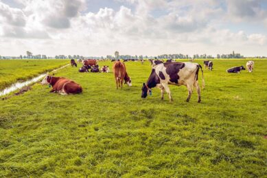 “Our GreenFeed units allow us to undertake robust and practical research that can be used by farmers to ensure that a product that they may wish to use on their farm has data to demonstrate its effect on methane production, is safe and ultimately cost-effective,” said Professor Liam Sinclair, Director of the Animal Science Research Centre at Harper Adams. Photo: Canva