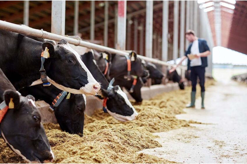 At the end of October 2023 there were a total of 7,500 dairy farmers remaining in England, Scotland and Wales, which shows a decline of -4.5% compared to the same period the previous year.  Photo: Canva