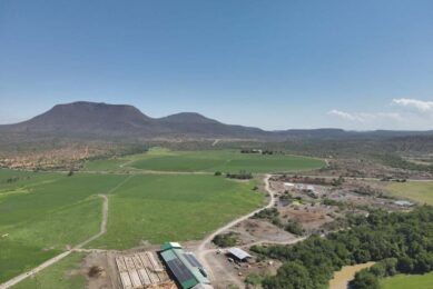 Land surrounding the Foundation Farm has been overgrazed due to poor management. Barry Schiever has kept his soil healthy and productive by increasing organic carbon. Photos: Lindi Botha