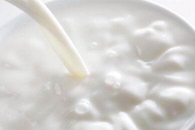 Iin Russia the output in the drinking milk and traditional dairy products, like cream, kefir, sour cream, cottage cheese, and butter, jumped by 68% year-on-year to 265,000 tonnes. Photo: Canva