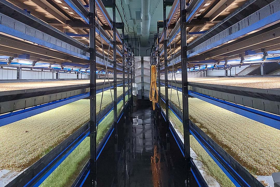 At Ecofarm Dairy in British Columbia. Its team, including General Manager Bill Vanderkooi, conducted a performance trial on HydroGreen two years ago. Photo: Ecofarm