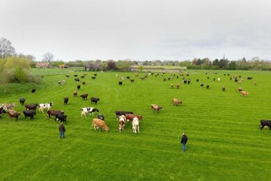 In terms of provincial distribution, the more sustainable farms were mainly located in the provinces of Overijssel, Friesland and Groningen, and were less represented than the rest of the farms in Gelderland, North Holland, and Drenthe.