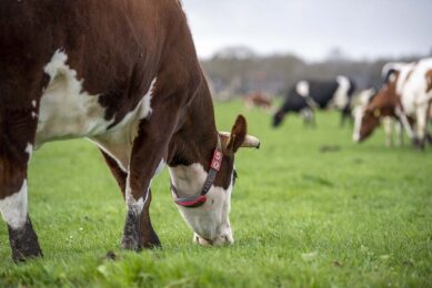 The announcement has been welcomed by the farming community. Tom Bradshaw, NFU deputy president, said the expansion of PCR testing was a significant step. Photo: Mark Pasveer