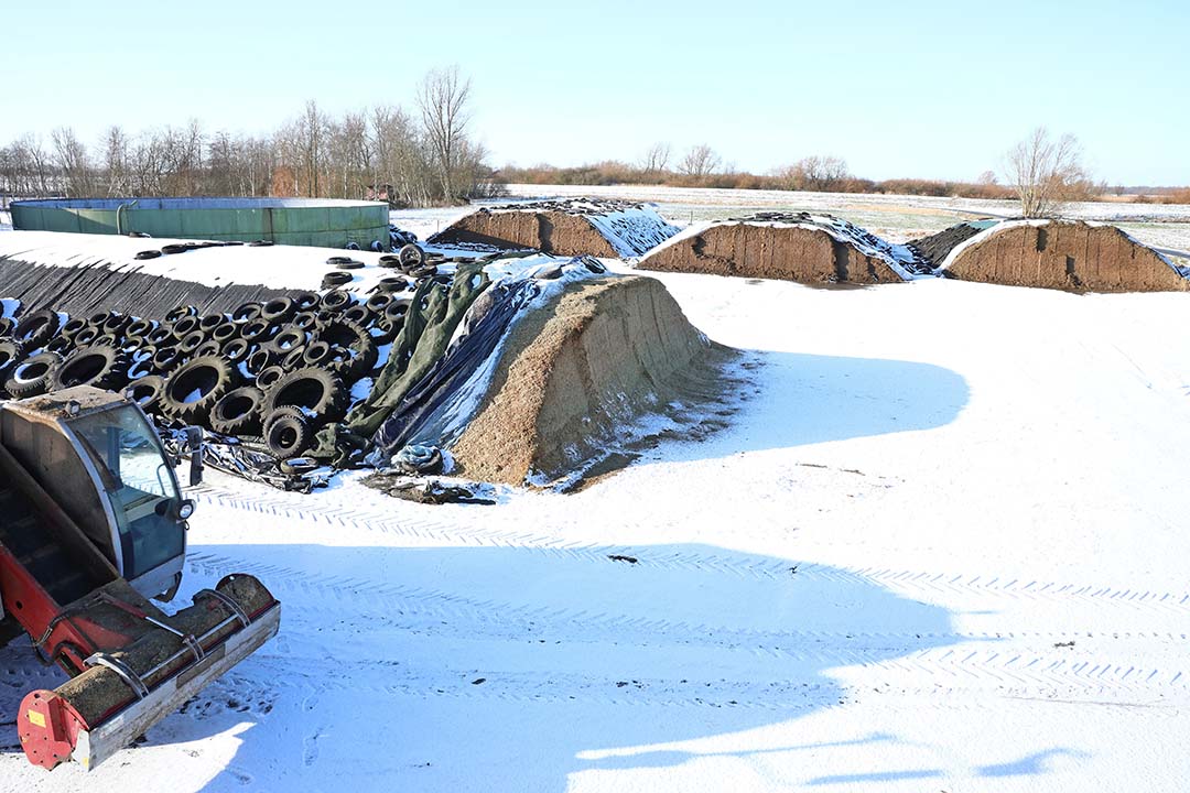 At the beginning of January, it is freezing and the flat land around Leer in Northern Germany is covered in snow.