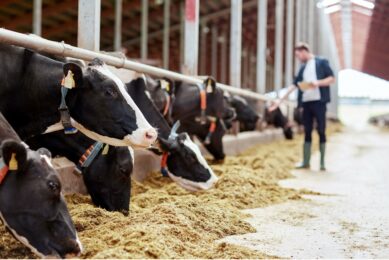 In their study published in the Journal of Dairy Science, researchers found that measuring non-verbal communication (in addition to common verbal communication) between vets and farmers during routine herd health consultations, is key to unlocking barriers for adopting biosecurity measures. Photo: Van Assendelft Fotografie