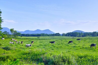 There is still an ongoing debate about application of regenerative agriculture in large conventional dairy production systems that do not focus primarily on grazing animals on pasture. Photo: Canva