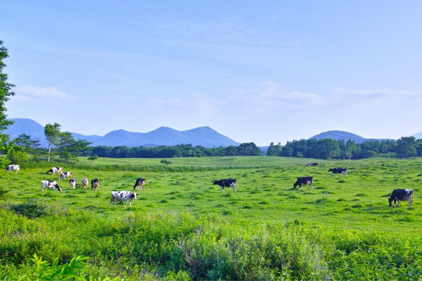 There is still an ongoing debate about application of regenerative agriculture in large conventional dairy production systems that do not focus primarily on grazing animals on pasture. Photo: Canva