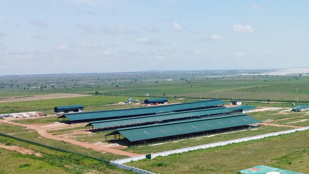 The Arla dairy farm in Damau, future home to 500 Holstein cows.