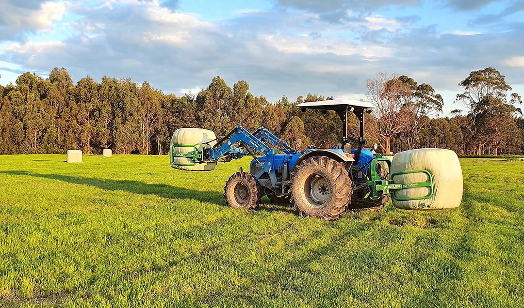 Silage is made to buffer feed the cows in the winter months.
