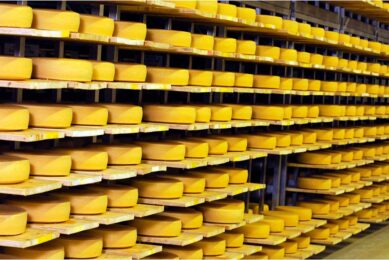 In 2024, increased demand for cheese and forecast higher gross domestic product (GDP) is expected to drive up imports. Cheese imports will see a 5% increase compared to 2023. Photo: Canva