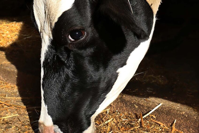 Maine’s Agriculture, Conservation and Forestry Committee recently unanimously recommended a 25% increase to the state's dairy stabilization prices. Photo: Canva