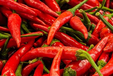 capsicum oleoresin, obtained from chilli peppers and/or clove oil, has been shown to help dairy cows use feed energy more efficiently. Photo: Canva
