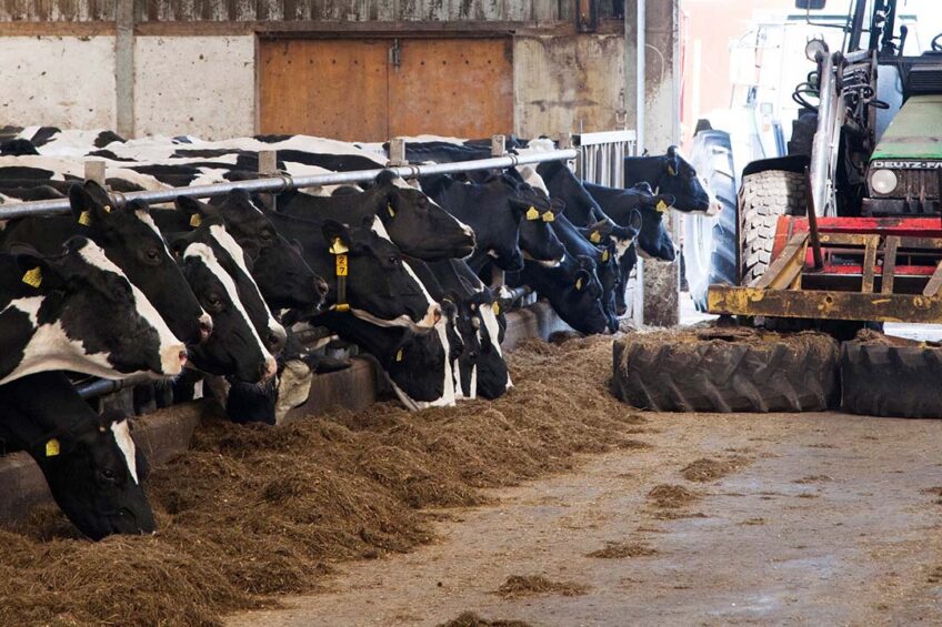 In 2023, dairy feed tonnage decreased by 2.3% (126.23 mmt), primarily due to the high cost of feed combined with low milk prices. Photo: Herbert Wiggerman