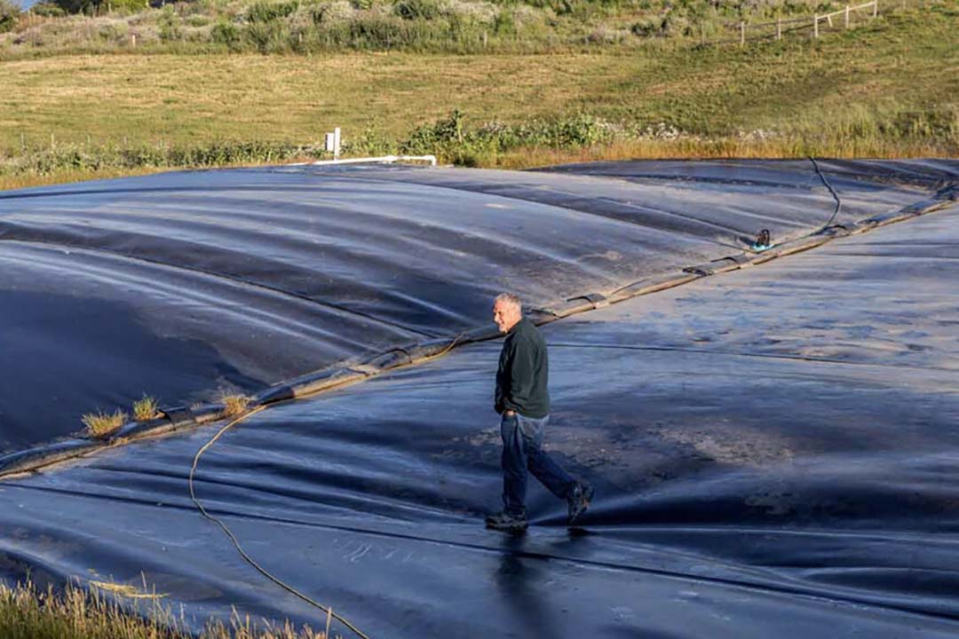 The biodigester currently provides enough electricity to charge several electric farm vehicles. A solar-powered water pump supplies water to remote cow troughs.
