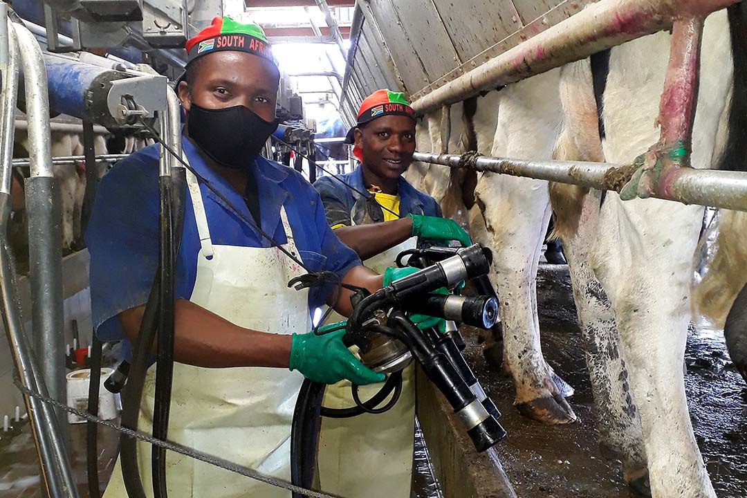 Around 43 workers are employed on the farm.