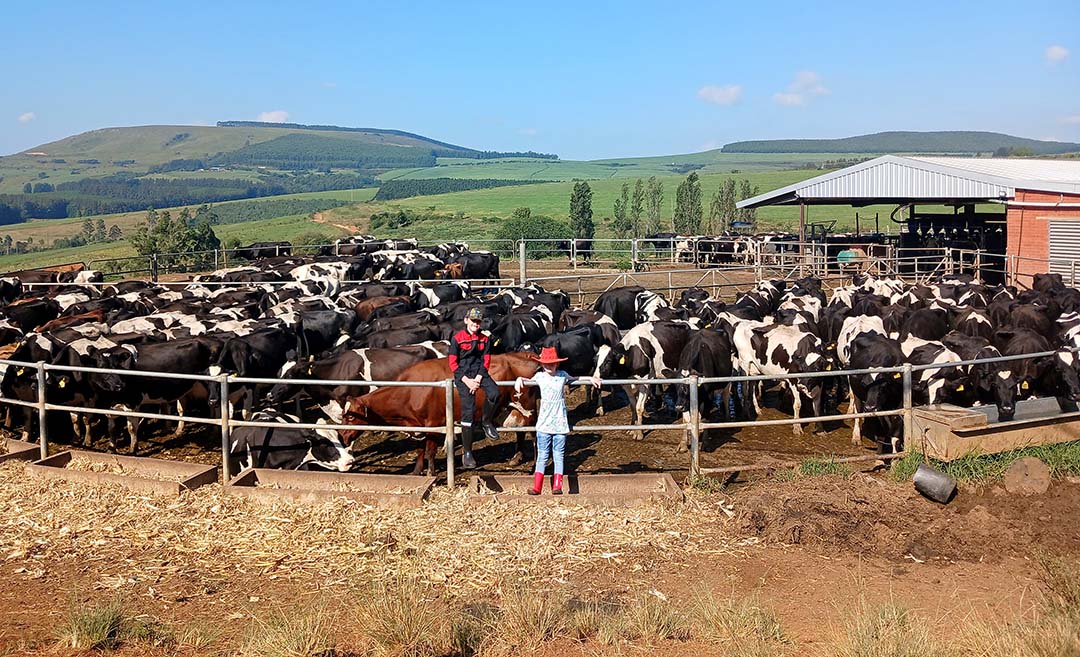 Around 350 cows are being milked at Olivar Farm but plans are to expand to 600.
