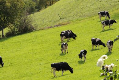Mitigating methane production in the dairy cow’s rumen