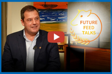 Video: Impact of mycotoxins and gestation length on dairy cow and calf health