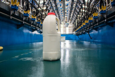 Dairy farmers need a strong signal from their milk processor that they understand the pressures on them. Photo: Canva