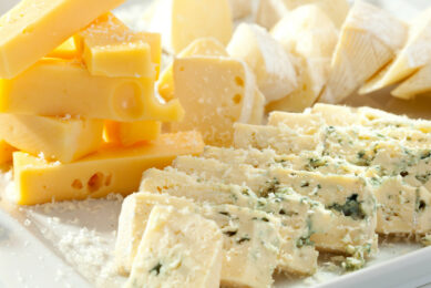In April 2018, the EU concluded an agreement in principle with Mexico. After its ratification, the agreement will offer free access to EU blue cheese, with further TRQs of 5,000 mt for fresh and processed cheese and 20,000 mt for other cheeses. Photo: Canva