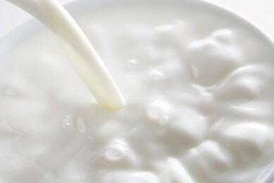 <i class="">Australian dairy farmers have been hit with a farmgate milk price cut from major processors. Photo: Canva<span class=""> </span></i>