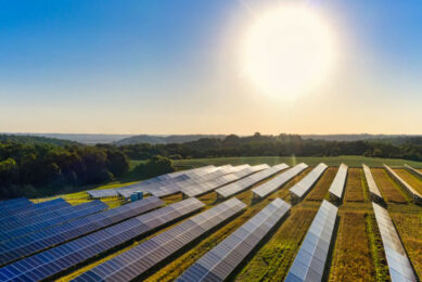 Rooftop solar panels are not the only available solutions for dairy farmers; solar panels could also be effectively installed on agricultural land. Photo: Canva<span class=""> </span>