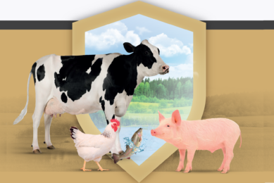 Photos: Patent Co & Agromed