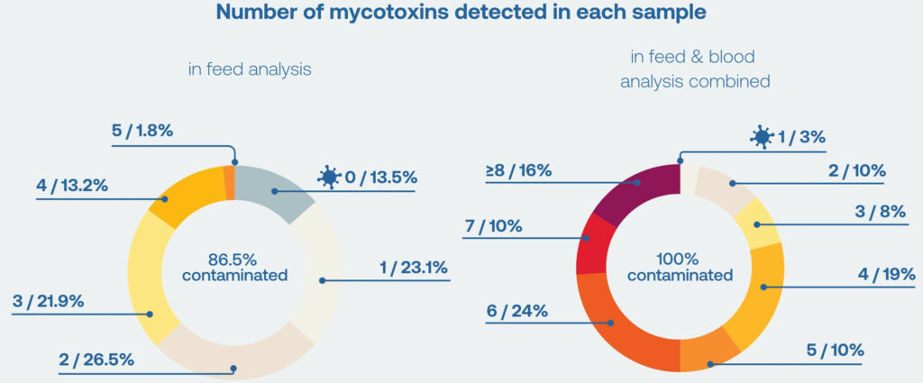 Figure 1 - Total number of mycotoxins detected in feed analysis and in feed & blood analysis combined of >9,000 animals globally