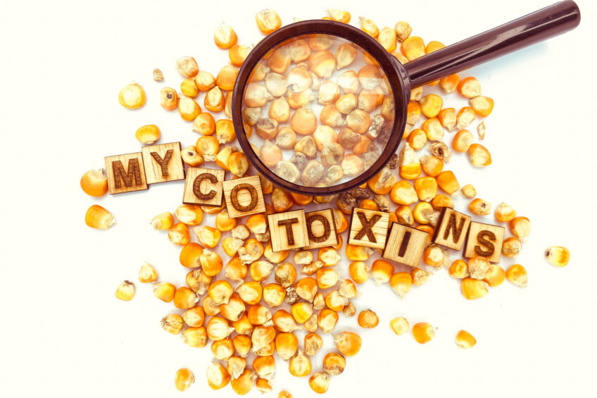 Photo: AdobeStock