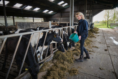 A recovery of milk prices, supported by tight supplies in the early part of the year, is expected to increase output from milk by 12% and be a key driver raising farm business income for dairy farms. Photo: Fred Libochant Fotografie