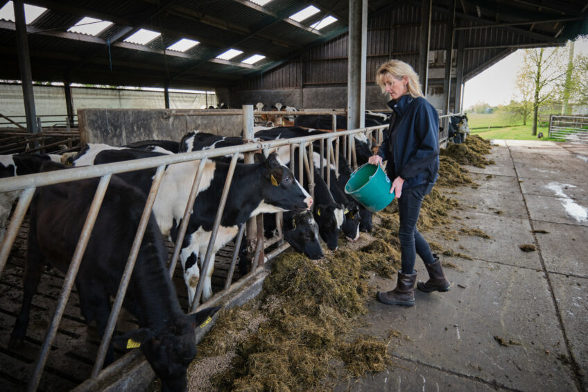 A recovery of milk prices, supported by tight supplies in the early part of the year, is expected to increase output from milk by 12% and be a key driver raising farm business income for dairy farms. Photo: Fred Libochant Fotografie