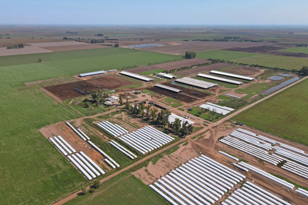 The farm has a compact layout. The silage is not stored in trench silos but in trunks.