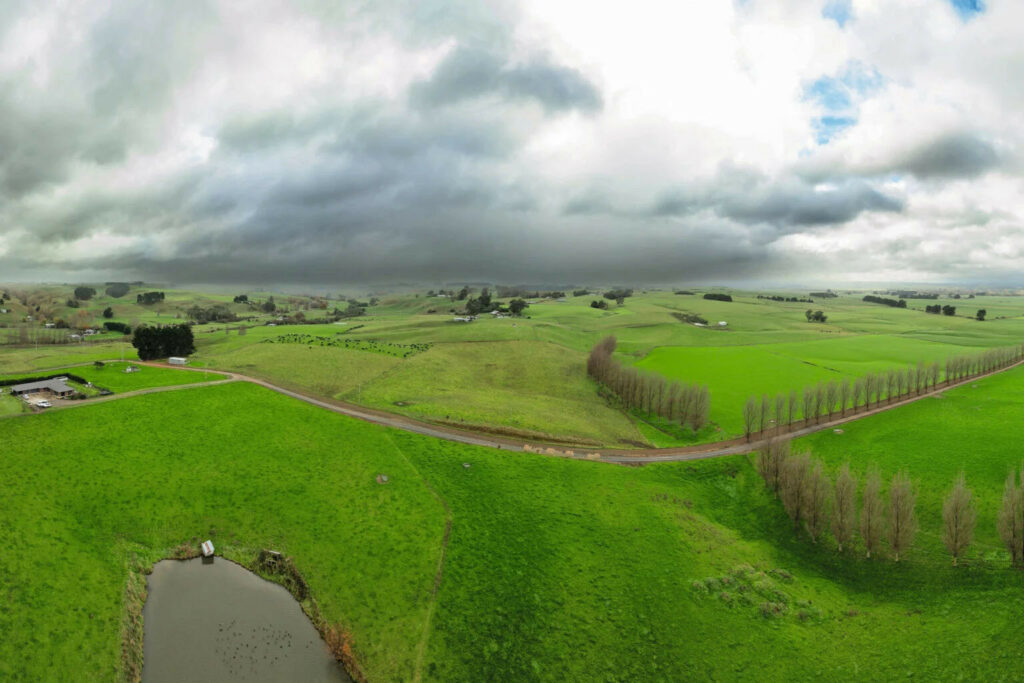 Most of the 113 hectares are grassland.