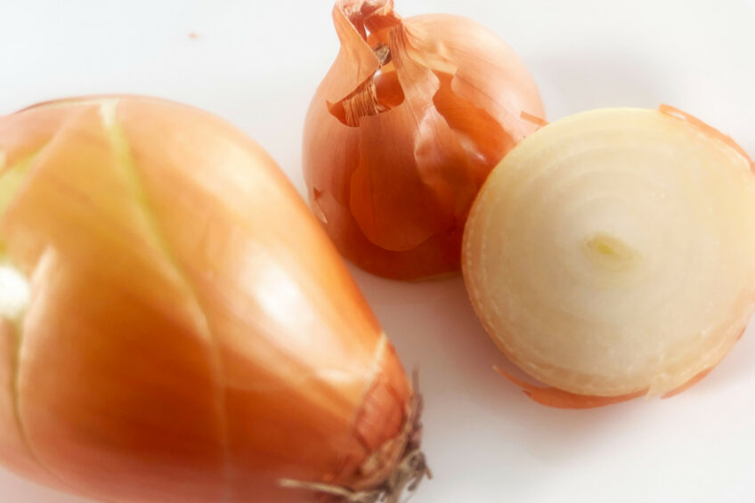 Results suggests that using onion peel as a natural feed additive is promising in reducing methane in dairy cows. The yellow variety of onion (Allium cepa L.) was used for this experiment. Photo: Zana van Dijk