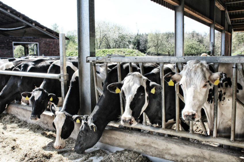 Photo: Bewital agri