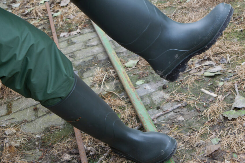 Samples were also collected from boots, ropes, pegs, transport vehicles and hard floor surfaces to detect FMD. Photo: Misset