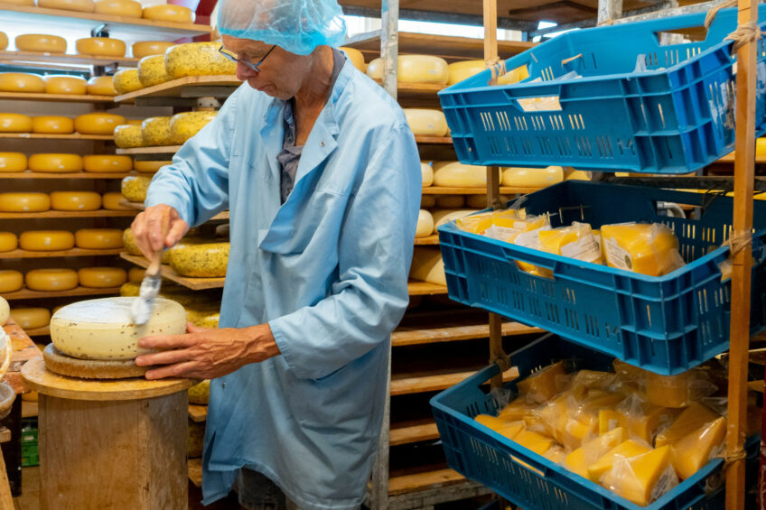 In the coming years domestic consumption will rise by 1.5% on average per year, primarily in the cheese, ice cream, and cream segments. Photo: Jan Willem Schouten