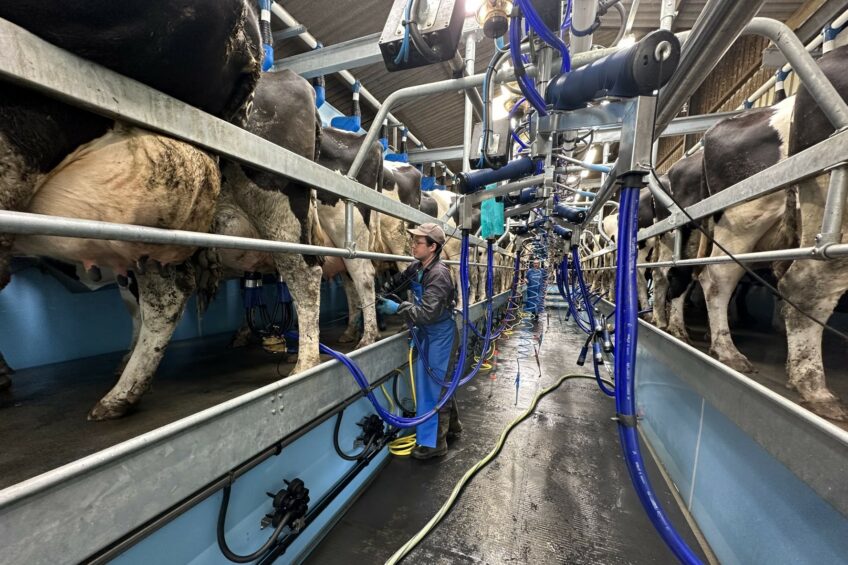 How to improve dairy labour efficiency on-farm