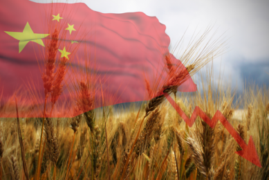 Imports from China are plummeting. In March, the USDA had already lowered the forecast for Chinese wheat imports to 6.5 million wheat. Photo: Canva
