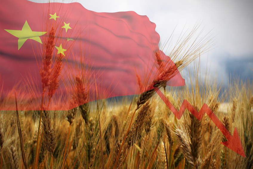 Imports from China are plummeting. In March, the USDA had already lowered the forecast for Chinese wheat imports to 6.5 million wheat. Photo: Canva