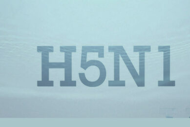 Investigations of current mitigation measures reveal that they are insufficient to control, much less reverse, the prevalence of H5N1 in the country. Photo: Canva