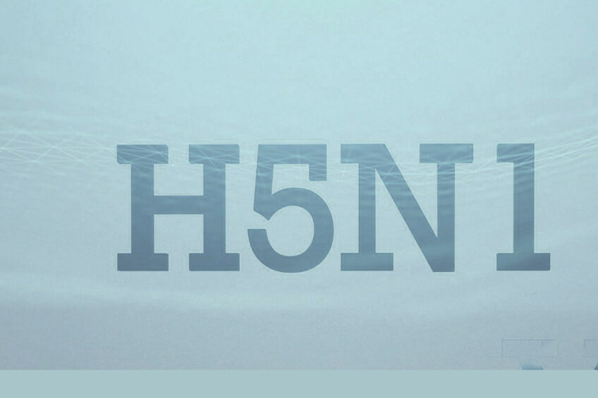 Investigations of current mitigation measures reveal that they are insufficient to control, much less reverse, the prevalence of H5N1 in the country. Photo: Canva