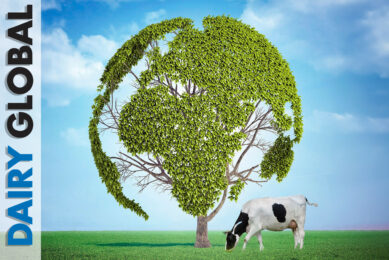 In the latest mag: From tackling heat stress to what’s key in reducing emissions