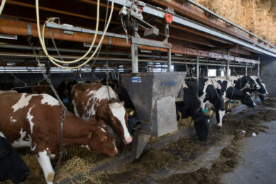 What survives the cow’s rumen, reaches the bloodstream, and actually fuels production – that is where the real value lies. Photo: Dennis Beek