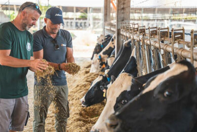 Maintaining a high standard of feed quality is a top priority at Crespi Invernizzi. Photos: Alltech